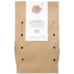 Zaaien*DILLE & KAMILLE Bloembollen dahlia Pompon mix, 3 stuks