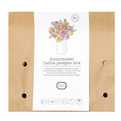 Zaaien*DILLE & KAMILLE Bloembollen dahlia Pompon mix, 3 stuks