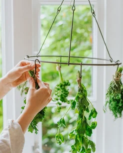 Diy|Inmaken & Wecken*DILLE & KAMILLE Bloemen- en kruidendroger