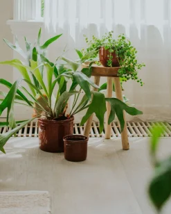 Bloempotten*DILLE & KAMILLE Bloempot 'Prado', aardewerk, terracotta Ø 21