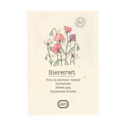 Zaaien*DILLE & KAMILLE Bloemzaden, biologisch, Siererwt Lathyrus, 2 g