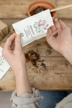 Zaaien*DILLE & KAMILLE Bloemzaden, biologisch, Siererwt Lathyrus, 2 g