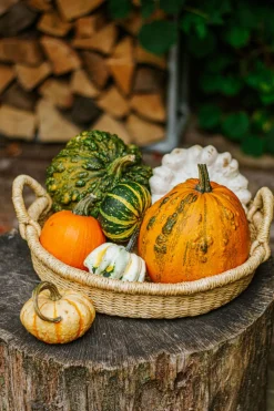 Herfst Decoratie|Rieten Manden*DILLE & KAMILLE Bolgamand, laag