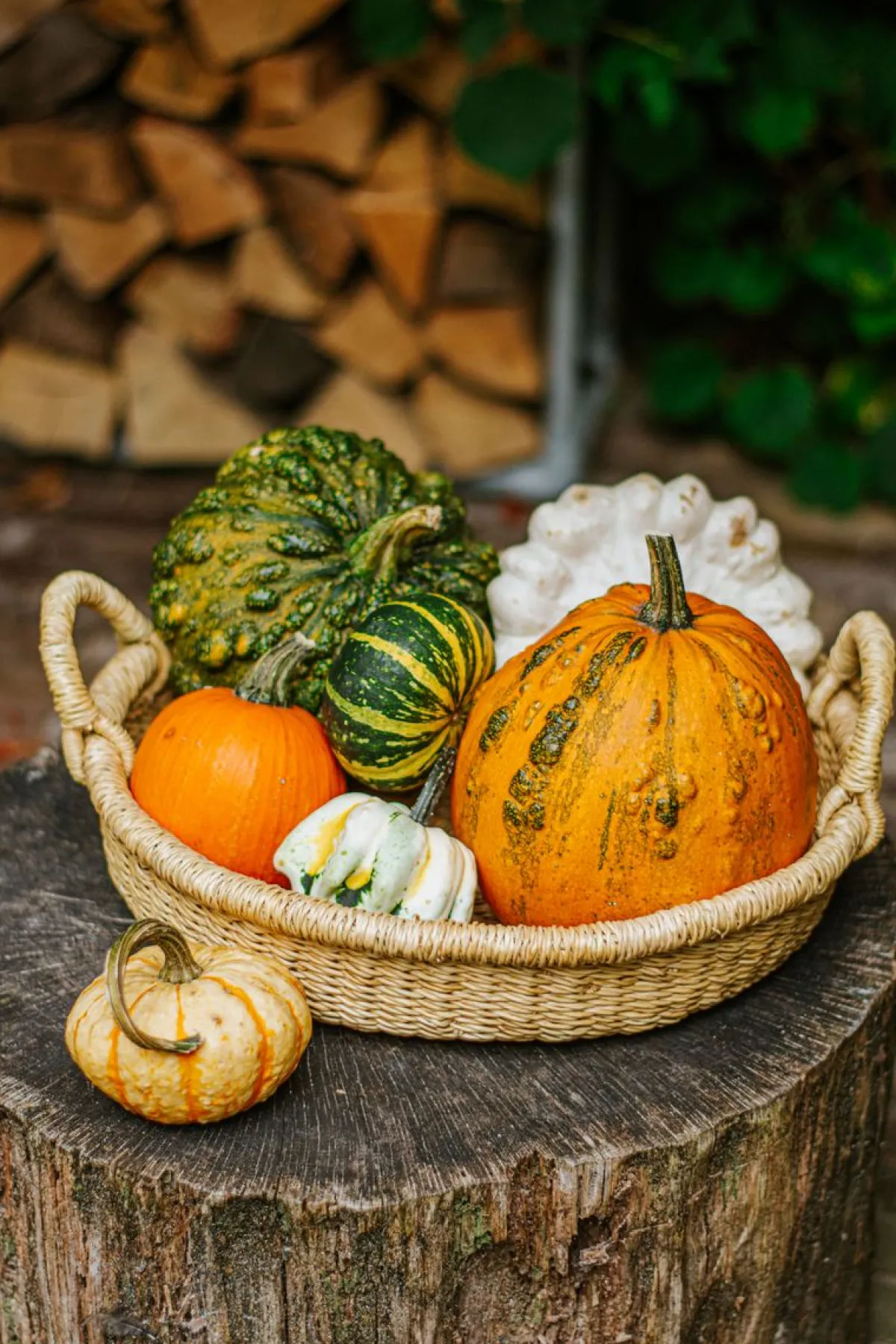 Herfst Decoratie|Rieten Manden*DILLE & KAMILLE Bolgamand, laag