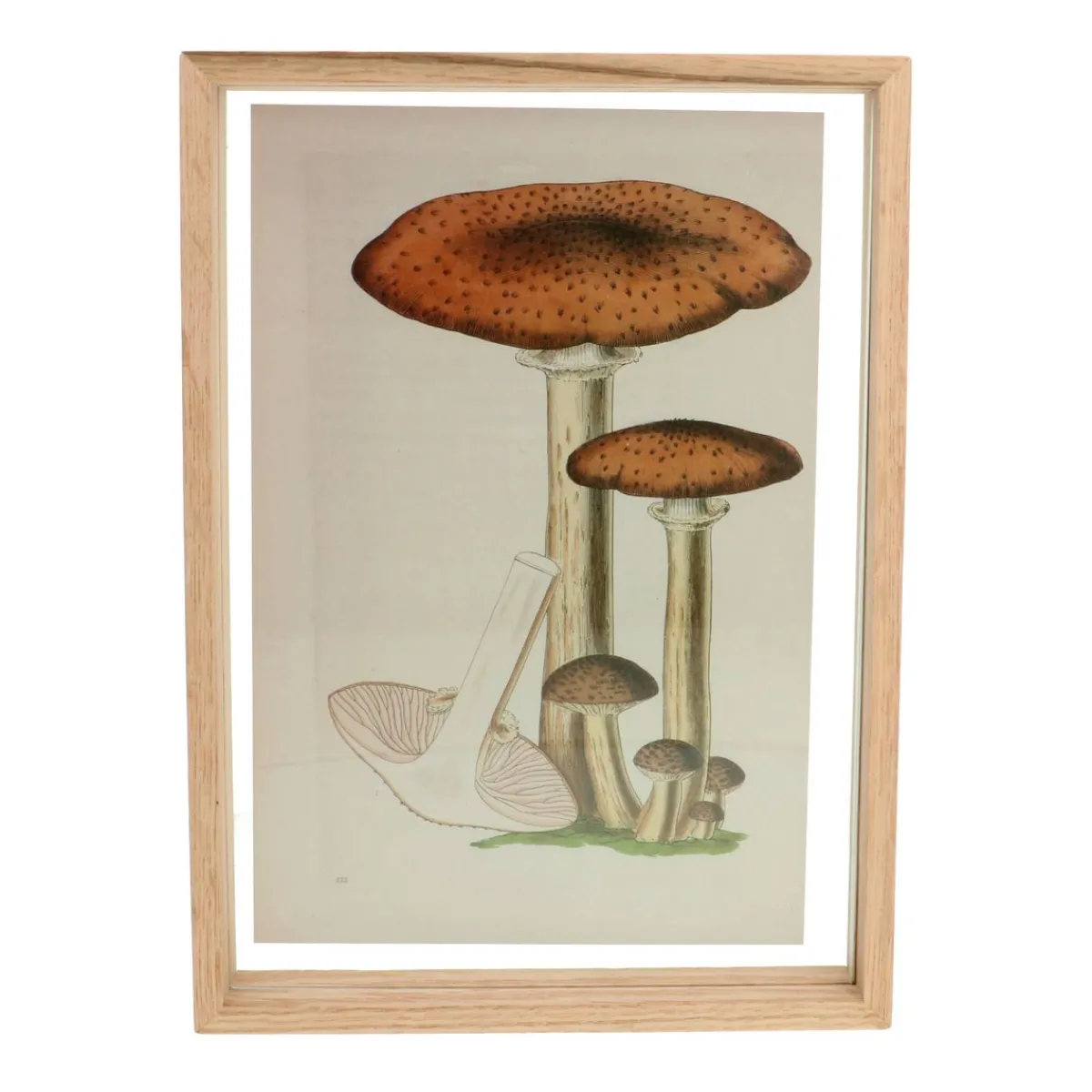 Herfst Decoratie|Kinderkamer*DILLE & KAMILLE Fotolijst, eikenhout, 21 x 30 cm