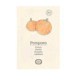 Zaaien*DILLE & KAMILLE Groentezaden, biologisch, pompoen, 1.5 g