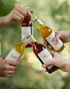 Limonades*DILLE & KAMILLE IJsthee, biologisch, witte thee, citroen, kurkuma, 250 ml