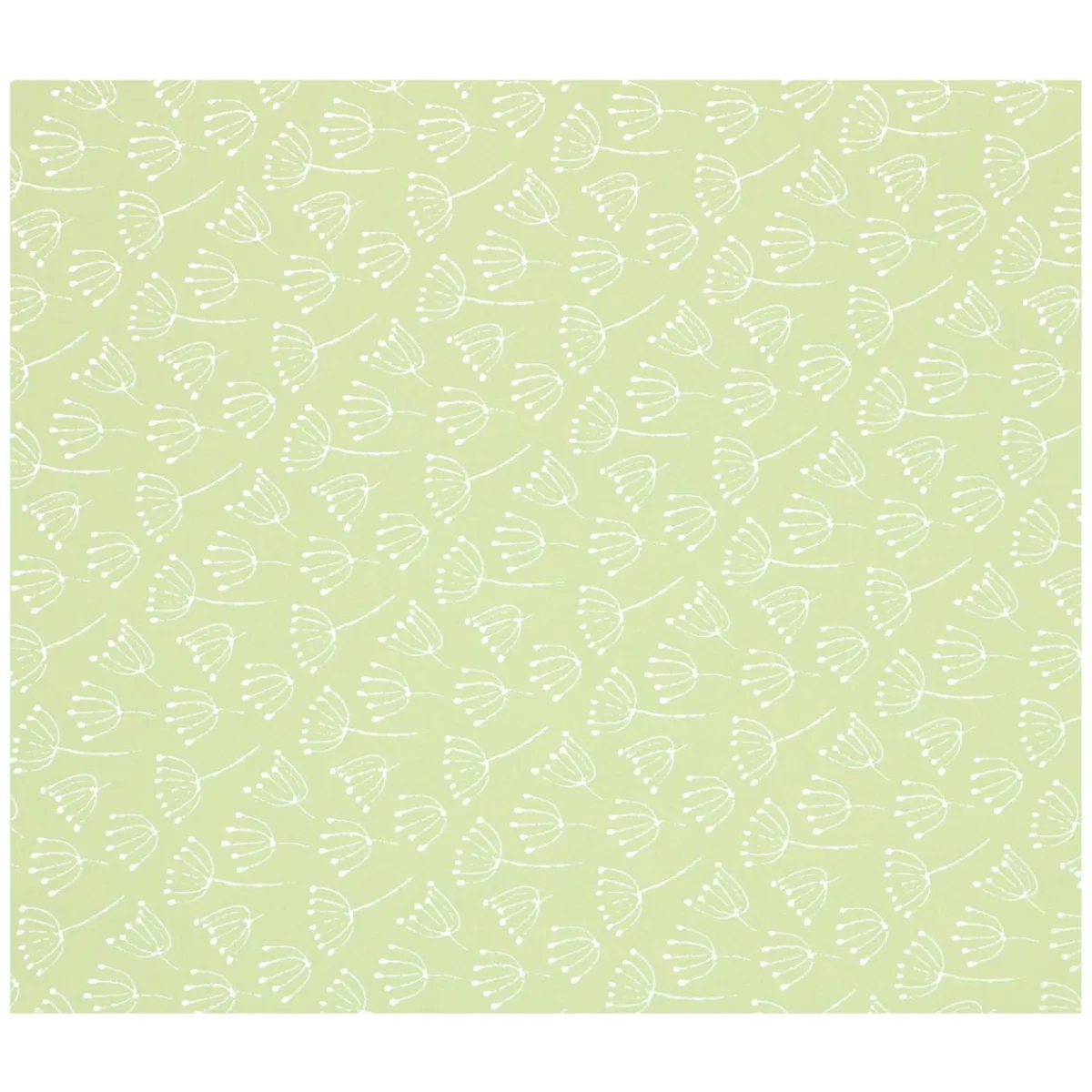 Cadeaupapier|Inpakpapier*DILLE & KAMILLE Inpakpapier, groen, schermbloem 70 x 250 cm