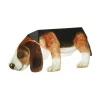 Kaarten*DILLE & KAMILLE Kaart, 3D hond