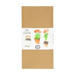 Kaarten|Kaarten*DILLE & KAMILLE Kaart, 3d klaproos
