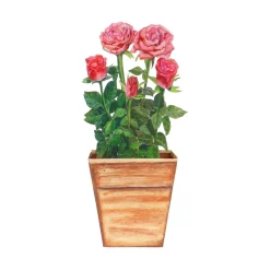 Kaarten*DILLE & KAMILLE Kaart 3D met envelop, rozen