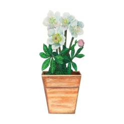 Kaarten*DILLE & KAMILLE Kaart 3D met envelop, witte bloemen