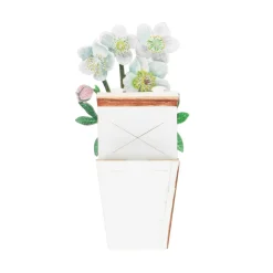 Kaarten*DILLE & KAMILLE Kaart 3D met envelop, witte bloemen