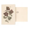 Kaarten|Kaarten*DILLE & KAMILLE Kaart met envelop, helleborus