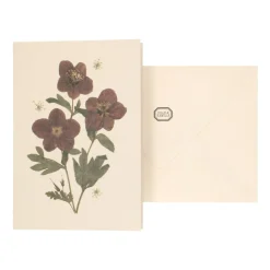 Kaarten|Kaarten*DILLE & KAMILLE Kaart met envelop, helleborus