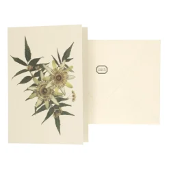 Kaarten|Kaarten*DILLE & KAMILLE Kaart met envelop, passiebloem