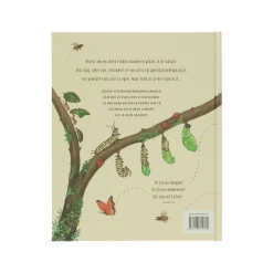 Kinderboeken|Natuurboeken*DILLE & KAMILLE Kalm aan, Rachel Williams