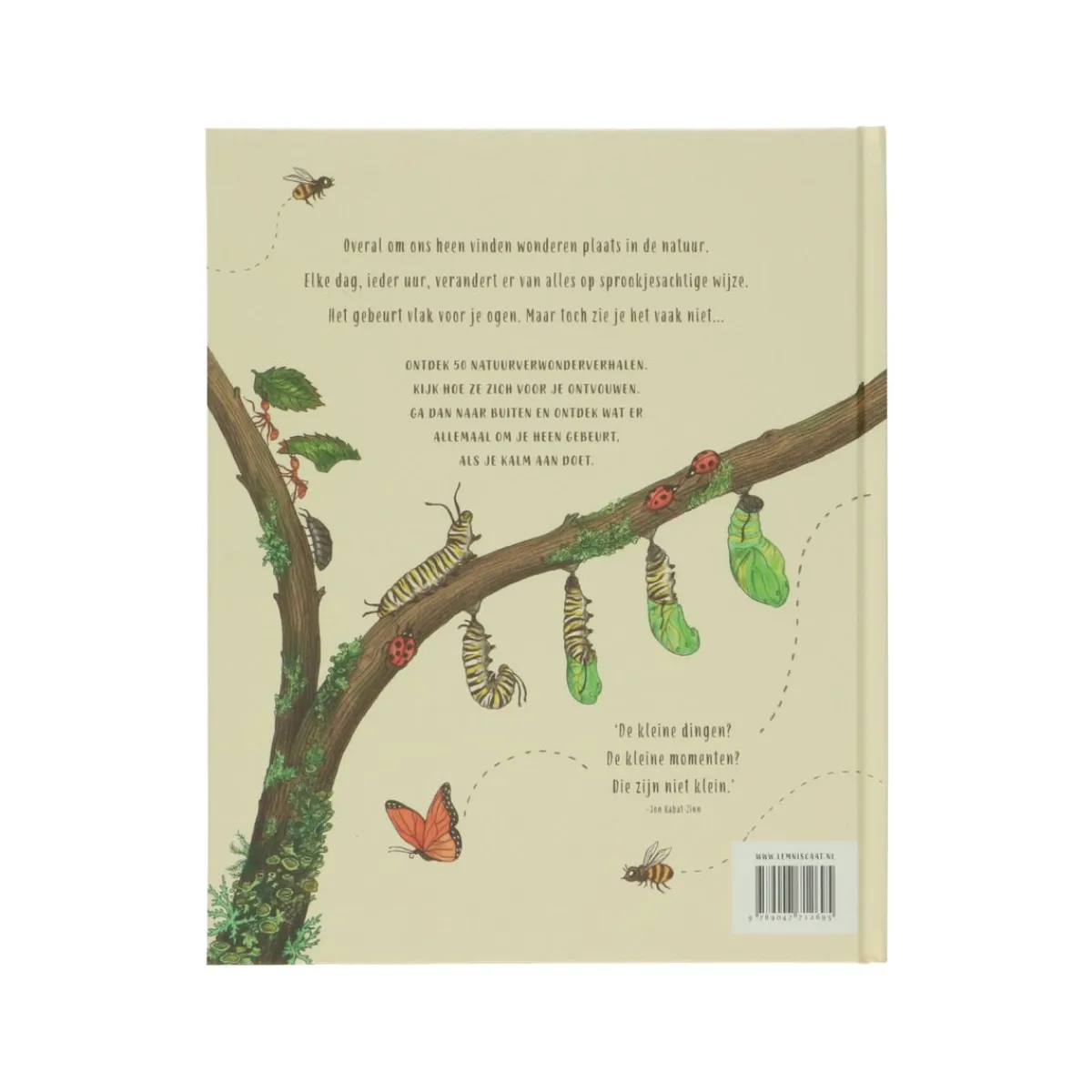 Kinderboeken|Natuurboeken*DILLE & KAMILLE Kalm aan, Rachel Williams