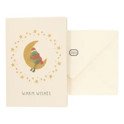 Kaarten*DILLE & KAMILLE Kerstkaart met envelop, kikker