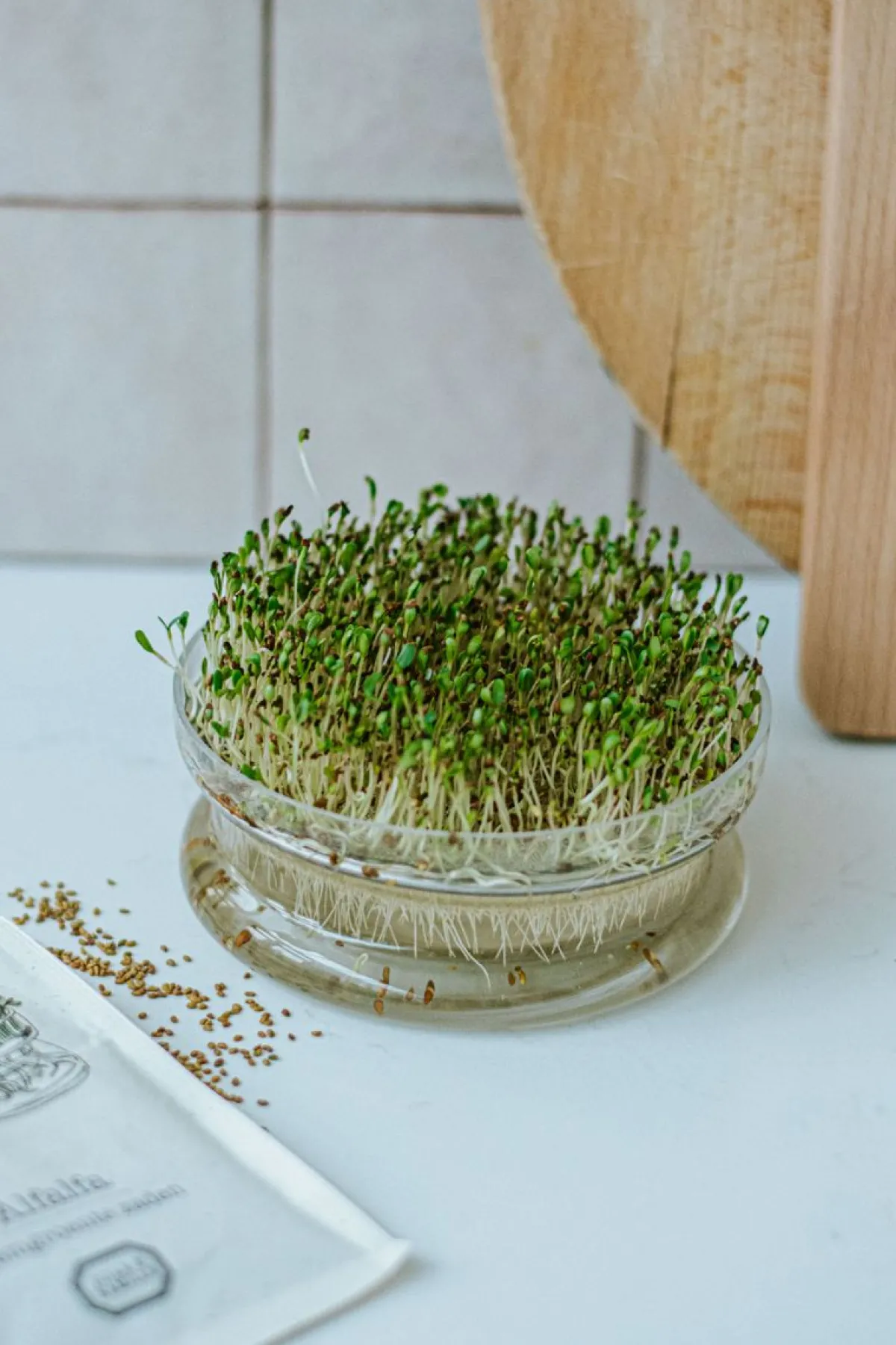 Groentekiemen|Zaaien*DILLE & KAMILLE Kiemschaaltje, glas, Ø 13,5 cm