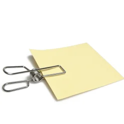 Clipjes, Magneetjes & Knijpertjes*DILLE & KAMILLE Knijper, roestvrij staal