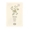 Zaaien*DILLE & KAMILLE Kruidenzaden, biologisch, venkel, 0.5 g