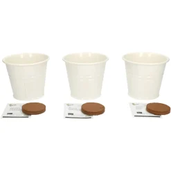 Zaaien*DILLE & KAMILLE Kweekset theekruiden, biologisch, set van 3 potjes