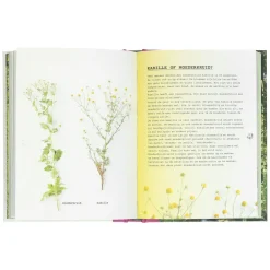 Tuinboeken*DILLE & KAMILLE Meer wildplukken, Leoniek Bontje