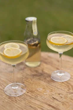 Mix Voor Fruitwater*DILLE & KAMILLE Mix voor Limoncello spritz, biologisch, 8,7 gram
