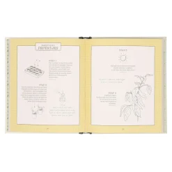 Tuinboeken*DILLE & KAMILLE Moestuinieren in potten en kistjes,