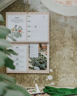 Zaaien|Tuinboeken*DILLE & KAMILLE Moestuinkalender,