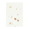 Schriftjes & Notitieboeken|Knutselspullen*DILLE & KAMILLE Notitieboek, droogbloemen, A5