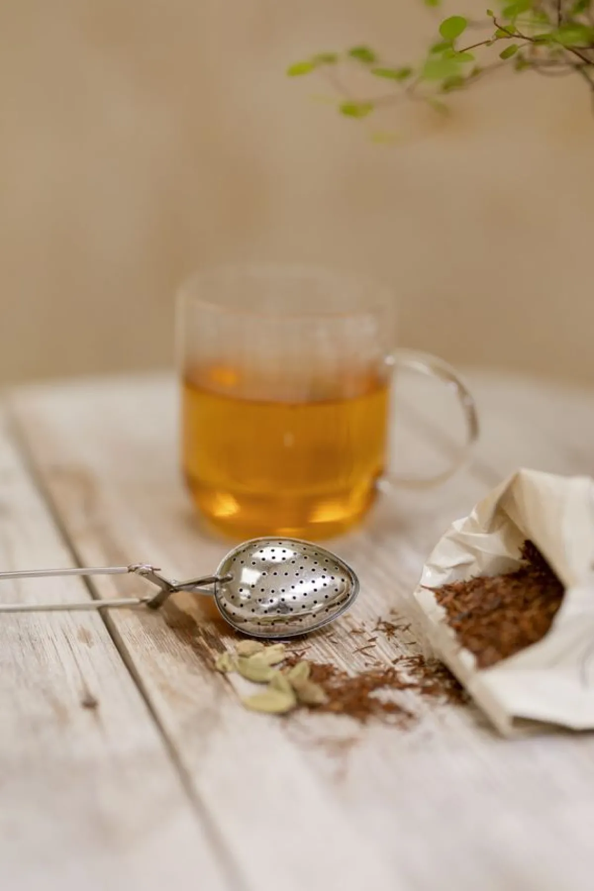 Thee*DILLE & KAMILLE Pure Rooibos, biologisch, 75 g