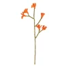 Warm Wonen|Herfst Decoratie*DILLE & KAMILLE tak kangoeroepootje, vilt, oranje, ca. 37 cm