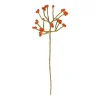 Warm Wonen|Herfst Decoratie*DILLE & KAMILLE Tak met besjes, vilt, oranje, ca. 40 cm